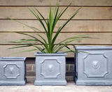 Clayfibre Lion Head Planters - box, tall box, trough and cylindrical pots - on this page