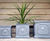 Clayfibre Lion Head Planters - box, tall box, trough and cylindrical pots 0