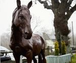 Cast Iron Lifesize Proud Horse Statue - outdoor garden sculpture ornament
