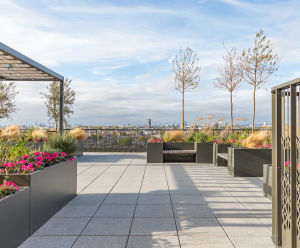 Raaft roof terrace systems help regenerate central London neighbourhood