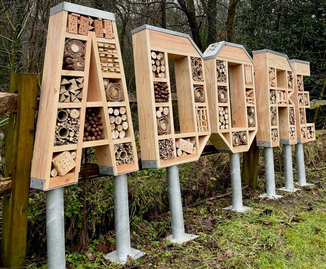 Bespoke timber and steel bug houses, bird and bat boxes