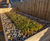 Sheldon SCS313 - enclosed sedum roofed timber cycle shelter 9