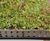 Enviromat Sedum Matting for domestic flat roofs 2