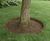 Pre-rolled mild steel tree rings 3