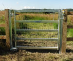 Steel pedestrian gates