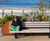 Seating and planter system for ExCeL London at Royal Docks 1