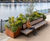 Seating and planter system for ExCeL London at Royal Docks 6