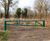 Swing Barrier Gate - steel manual gate for access control 0