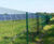 SolarGard Orbit - V-mesh solar farm boundary fencing 1