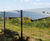 SolarGard Orbit - V-mesh solar farm boundary fencing 0