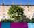 Custom metal or timber planters 14