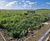 Orphir WwTW upgrades wastewater system to meet increasing demand 2