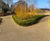Durable decorative, porous resin bound surfacing at Wakehurst 4