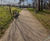 Durable decorative, porous resin bound surfacing at Wakehurst 1