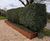 EverEdge steel retaining wall panels 7