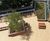 Bespoke benches and picnic tables for University of Essex 5