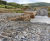 Concrete filled bagwork helps create bridge access route to woodland 8