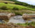 Concrete filled bagwork helps create bridge access route to woodland 9