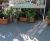 Tintagel Aged Slate Paving - National Trust paving slabs 3