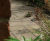 Yorkshire Street - reproduction handmade flagstone paving 2