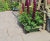 Rainham Hall Limestone Paving - National Trust outdoor paving slabs 3