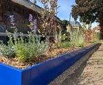 Hybrid SuDS rain planters transform entrance to Isleworth Bowling Club