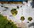 Rain Gardens - planted beds for urban rainwater management and wildlife 3