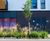 Rain Gardens - planted beds for urban rainwater management and wildlife 4