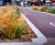 Rain Gardens - planted beds for urban rainwater management and wildlife 7