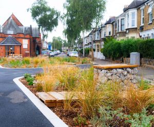 Rain Gardens - planted beds for urban rainwater management and wildlife