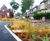 Rain Gardens - planted beds for urban rainwater management and wildlife 0
