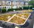 Rain Gardens - planted beds for urban rainwater management and wildlife 10