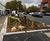 Lower Green West Rain Garden 5