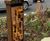 Lower Green West Rain Garden 1