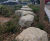 Lower Green West Rain Garden 10