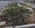 Lower Green West Rain Garden 12