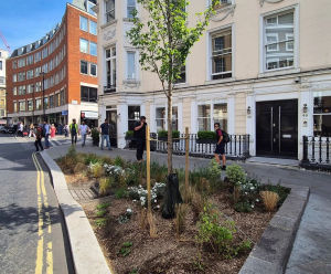 Shepherd Market Rain Gardens