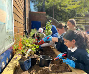 SuDS Planters for Primary Schools in the Westminster Borough