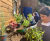 SuDS Planters for Primary Schools in the Westminster Borough 8