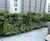 Living Walls - vertical plant panels for indoor or outdoor wall greening 1