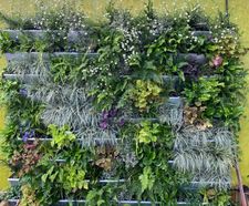 Living Walls - vertical plant panels for indoor or outdoor wall greening