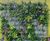 Living Walls - vertical plant panels for indoor or outdoor wall greening 0