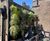 Living Walls - vertical plant panels for indoor or outdoor wall greening 5