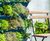 Living Walls - vertical plant panels for indoor or outdoor wall greening 8
