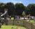 Bespoke children's play area for flagship racecourse 5