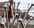 Creating a bespoke inclusive play space at Mayfield Park, Manchester 13