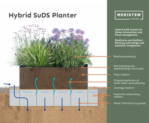 Hybrid SuDS Planter - shallow rain garden system