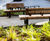RailRoad seating for open space at Connaught Village Green, London 2