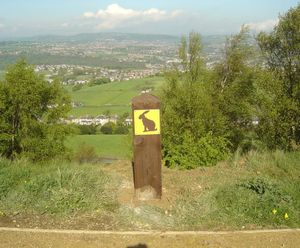Waymarker discs for footpaths, bridleways and cycle routes