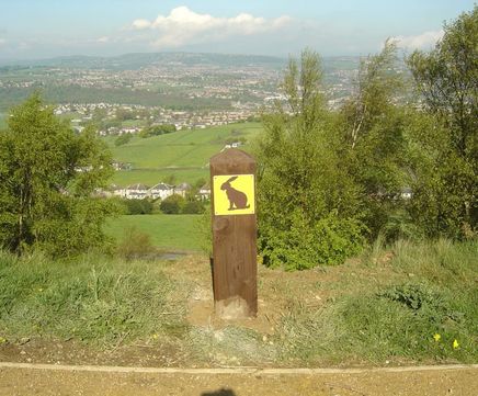 Waymarker discs for footpaths, bridleways and cycle routes